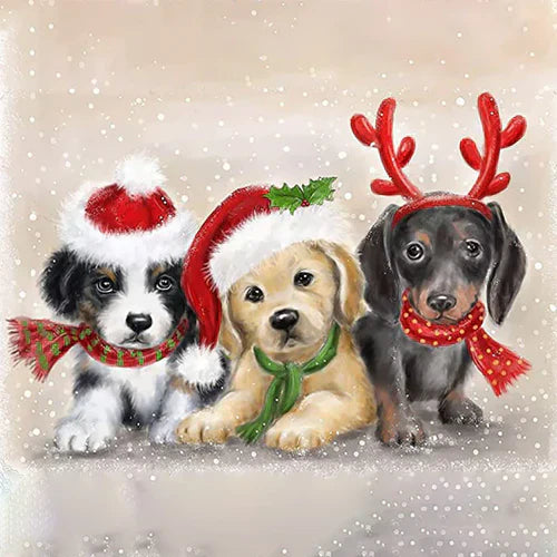 How to Make Your Christmas Shine Bright with Diamond Painting?
