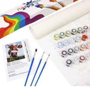 Winterlight Magic Gnome Paint By Numbers