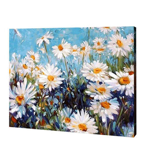 White Daisies, Paint by Numbers